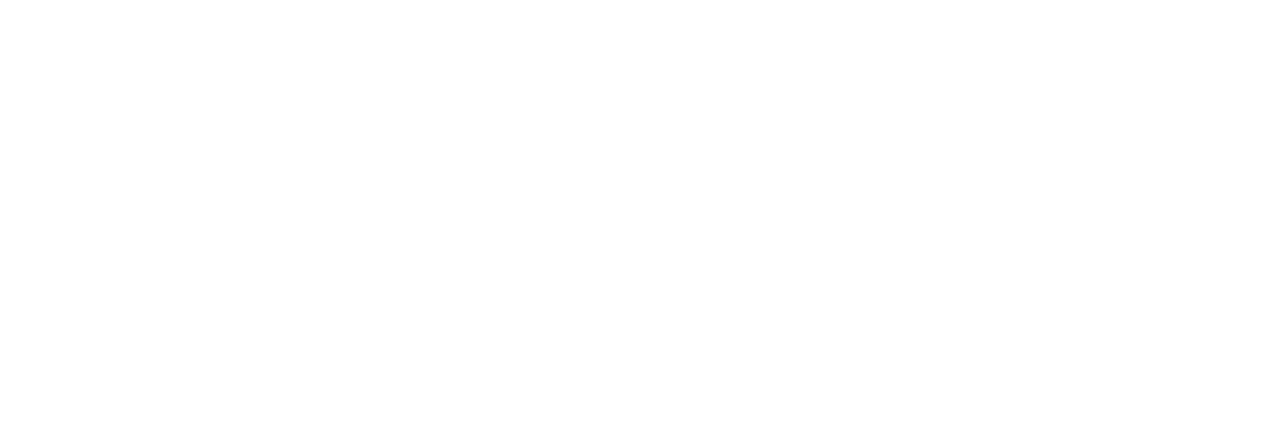 Millennium Influencer